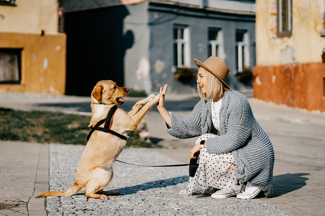 9 Telltale Signs That Your Dog Is Super Happy