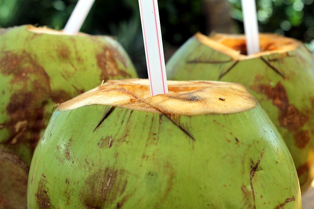 The Incredible Health Benefits of Incorporating Coconut Water into Your Daily Diet