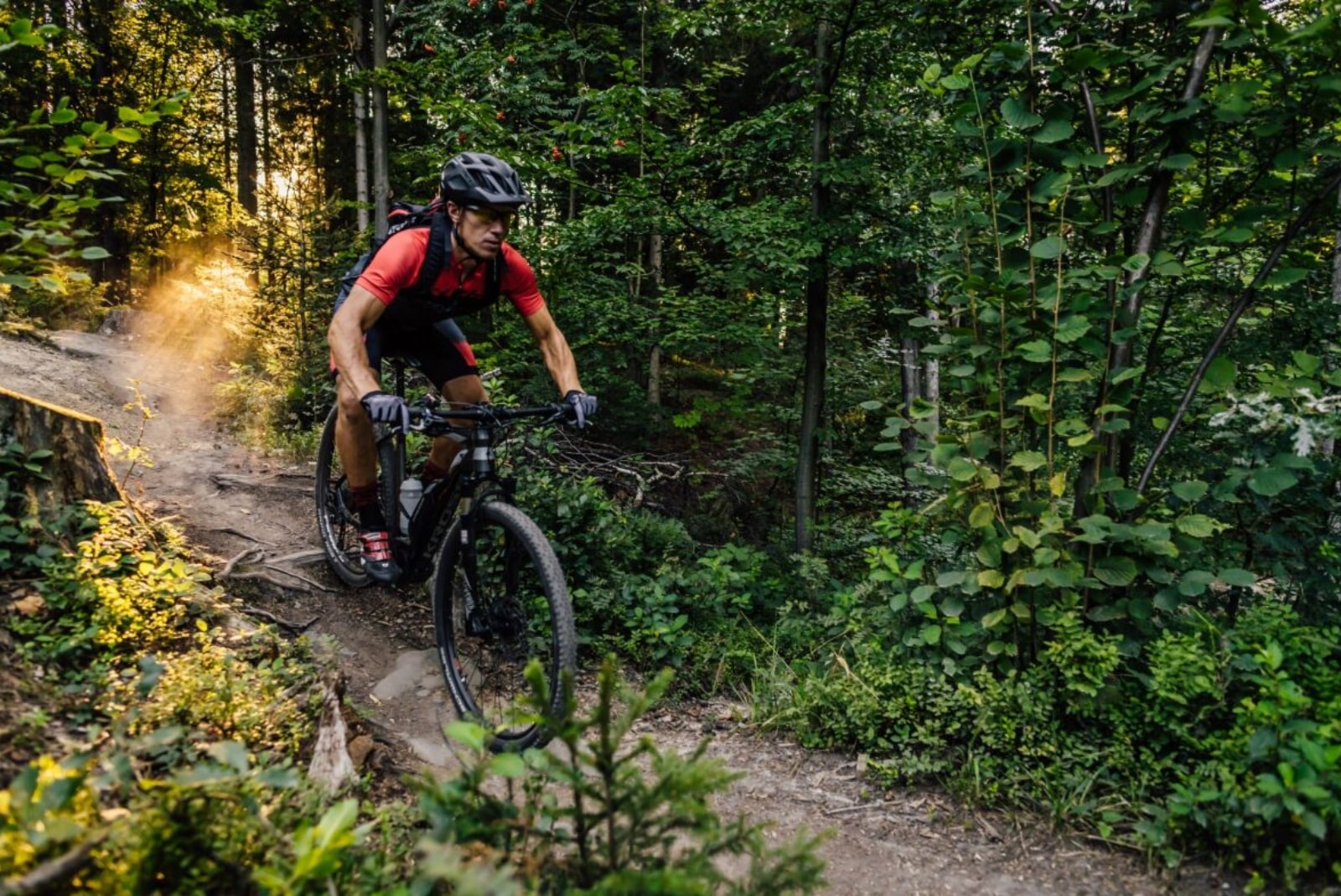 Unlock a World of Riding Possibilities with SprintRowery’s Diverse Bicycle Collection