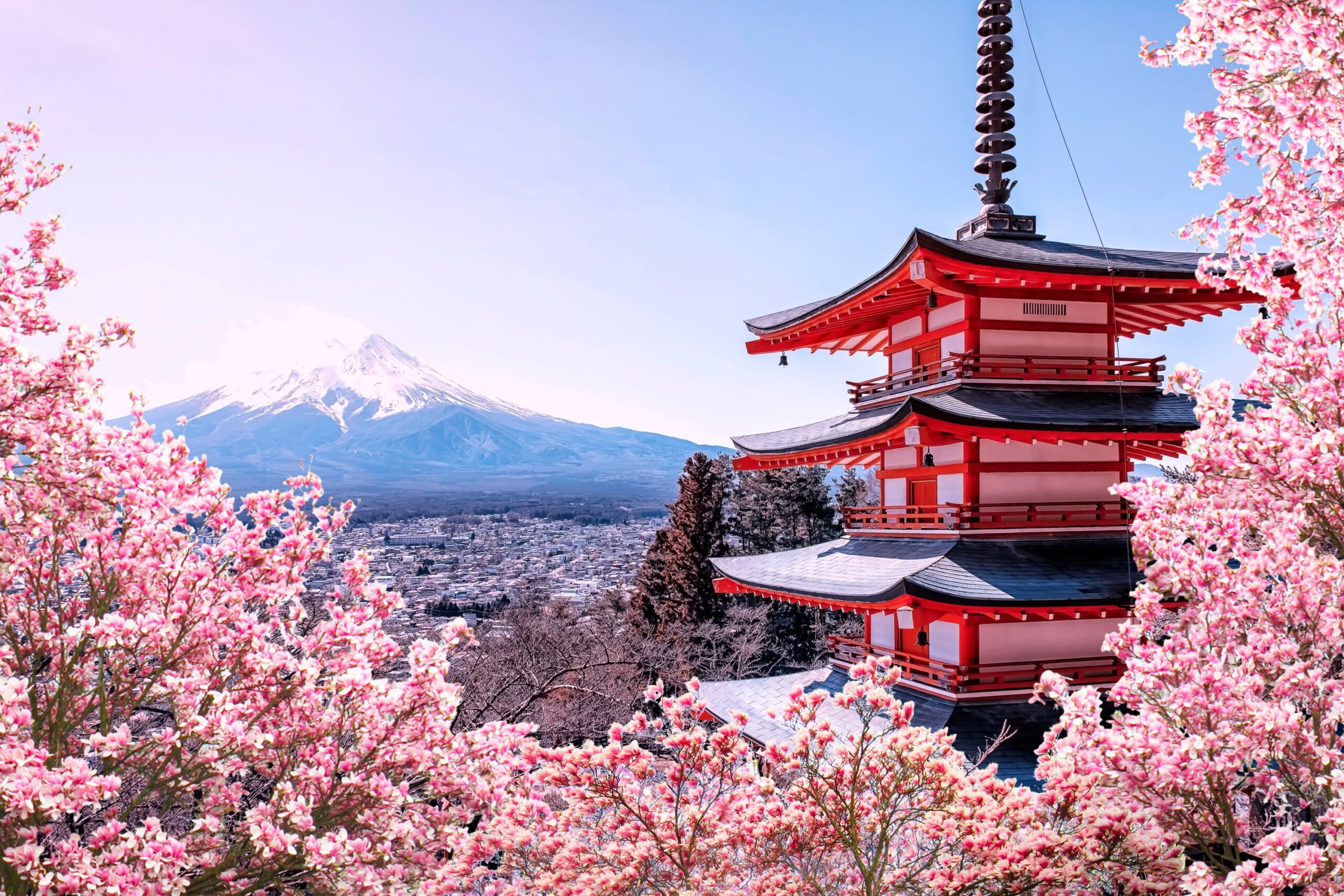 The Best Time to Visit Japan for the Perfect Travel Experience