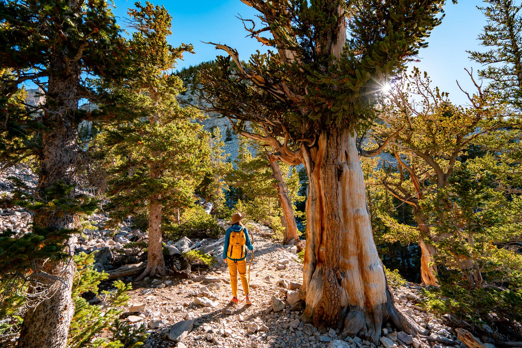 Underrated National Parks You’ve Never Heard Of